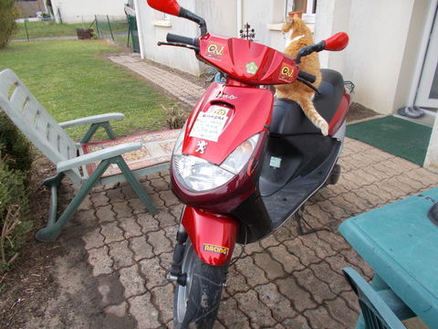 Pi&egrave;ces et &eacute;quipements Moto - Scooter - Quad Pi&egrave;ces et &eacute;quipements Moto - Scooter - Quad  occasion Abilly 37160