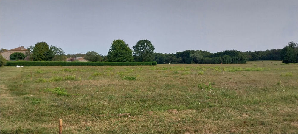 Maisons neuves   Saint-Gen�s-de-Fronsac (33240)