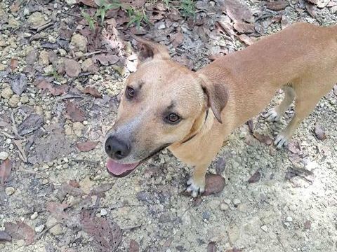 A&Iuml;KO la douceur des &icirc;les 350 22000 Saint-brieuc
