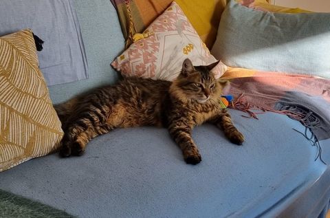 GAUTIER 210 92400 Courbevoie