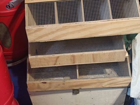 Boite de transport 25 77400 Saint-thibault-des-vignes