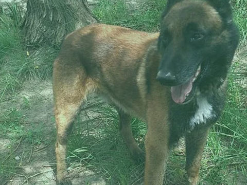 Drogo 130 26700 Pierrelatte