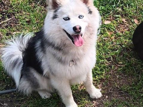 ARLO 200 26320 Saint-marcel-l�s-valence