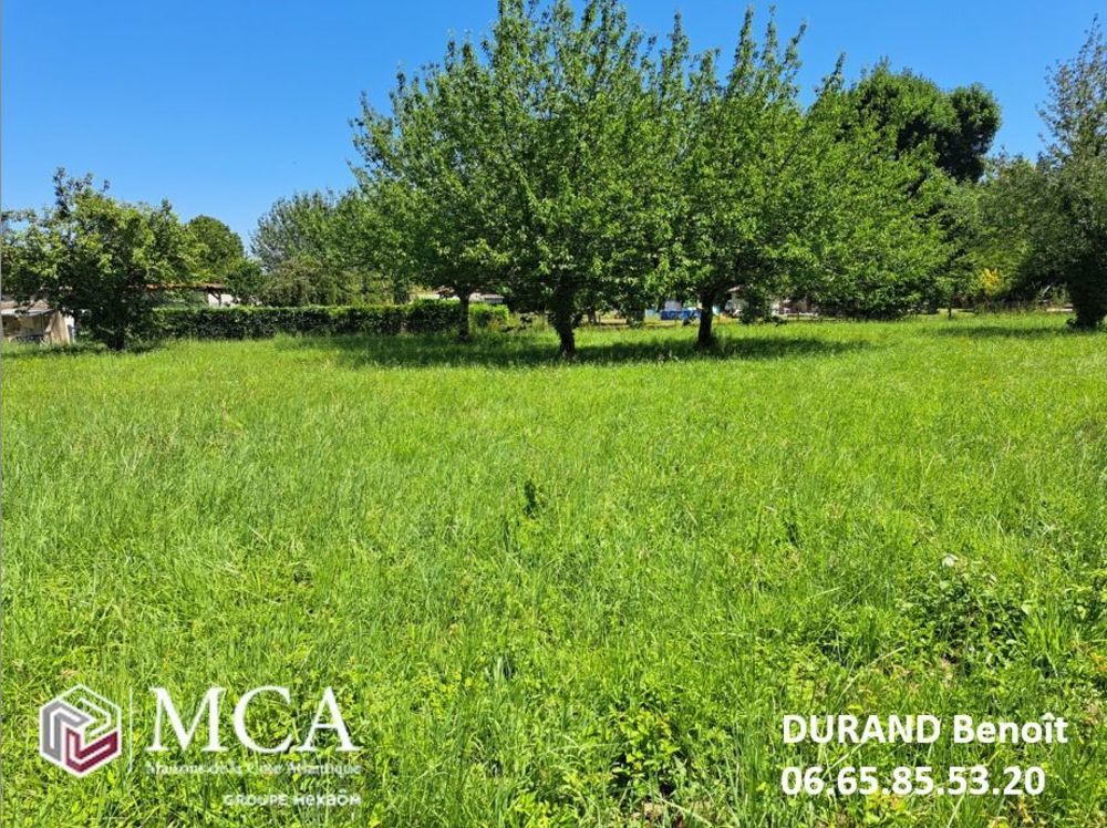 Maisons neuves   Pineuilh (33220)