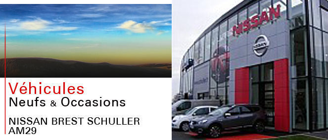 ALLIANCE MOTORS 29, concessionnaire 29