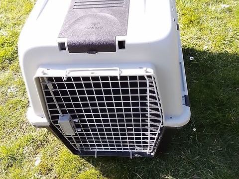 CAGE POUR CHIEN 65 59480 Illies