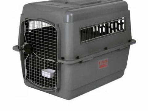 Caisse de transport XXL pour grand chien 200 38550 Le p�age-de-roussillon