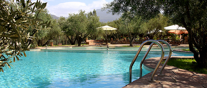 Agence AMALTHE Nzignan-l'vque