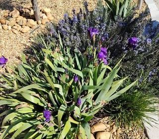  Maison � vendre 4 pi�ces 92 m�