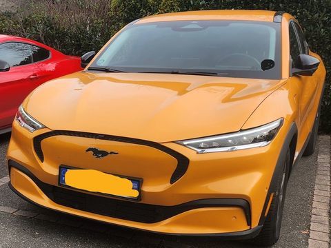 Ford Mustang Mach-E Standard Range 76 kWh 269 ch 2024 occasion Drulingen 67320