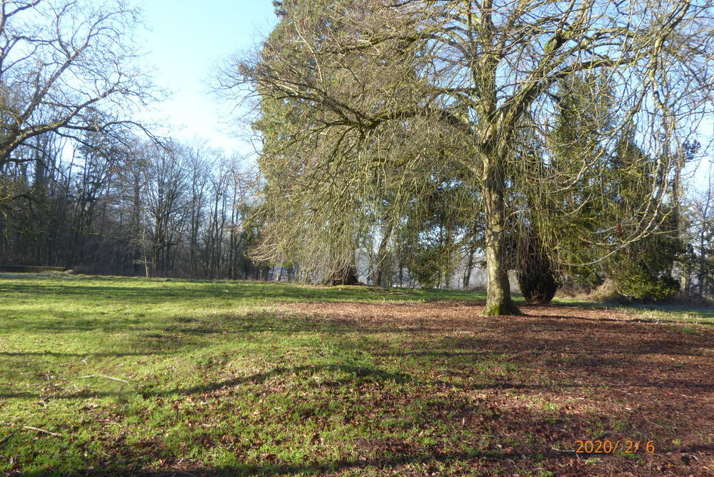 � vendre  Propri�t�/ch�teau Ham-sous-Varsberg (57880)