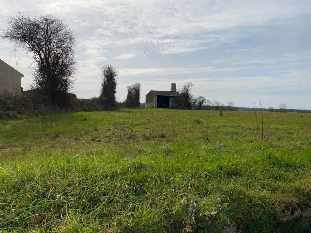 Maisons neuves   Plassay (17250)