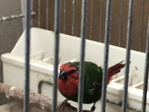 Pape de noumea 60 93220 Gagny