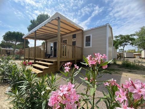 Mobil-Home Mobil-Home 2023 occasion Torreilles 66440