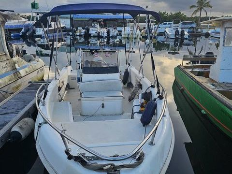 Bateaux &agrave; moteur P&ecirc;che-promenade 2010 occasion Guadeloupe 97139
