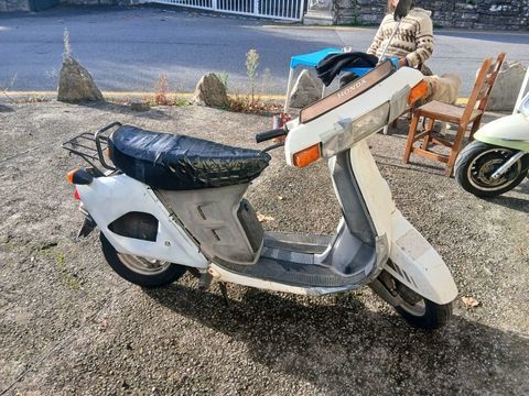 Scooter HONDA 1991 occasion Saint-Jean-de-Luz 64500