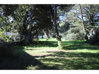  Terrain � vendre 990 m�