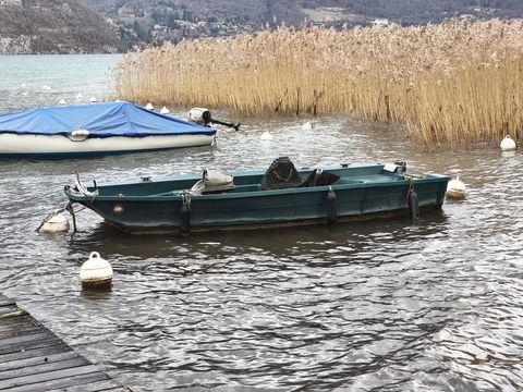 Bateaux &agrave; moteur P&ecirc;che-promenade 2015 occasion Seynod 74600