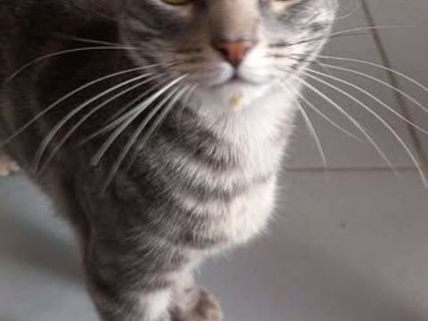 BABOO 120 13140 Miramas