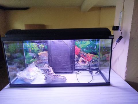 Aquarium 70 69400 Villefranche-sur-sa�ne