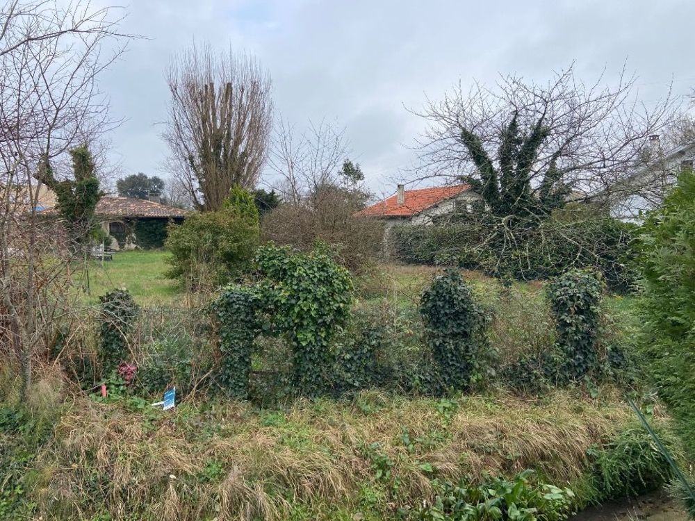 Maisons neuves   Quinsac (33360)