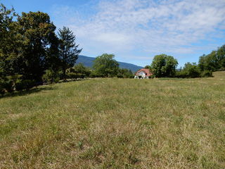  Terrain � vendre 2043 m�