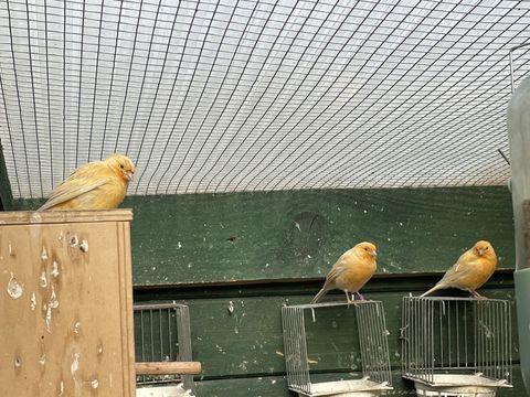 Canaris 25 22360 Langueux