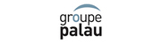 GROUPE PALAU SUZUKI