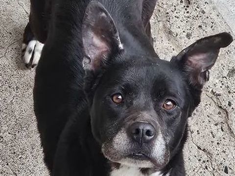 Edwina 130 26700 Pierrelatte