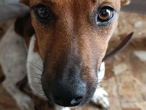 La belle AYA ! 300 18000 Bourges