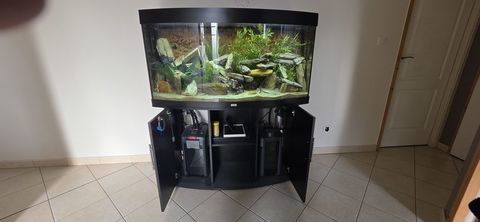 Aquarium Juwel 300L complet. 200 70110 Autrey-lès-cerre