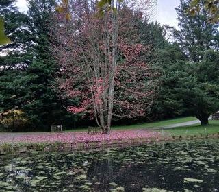  chalet � louer 4 pi�ces 80 m�