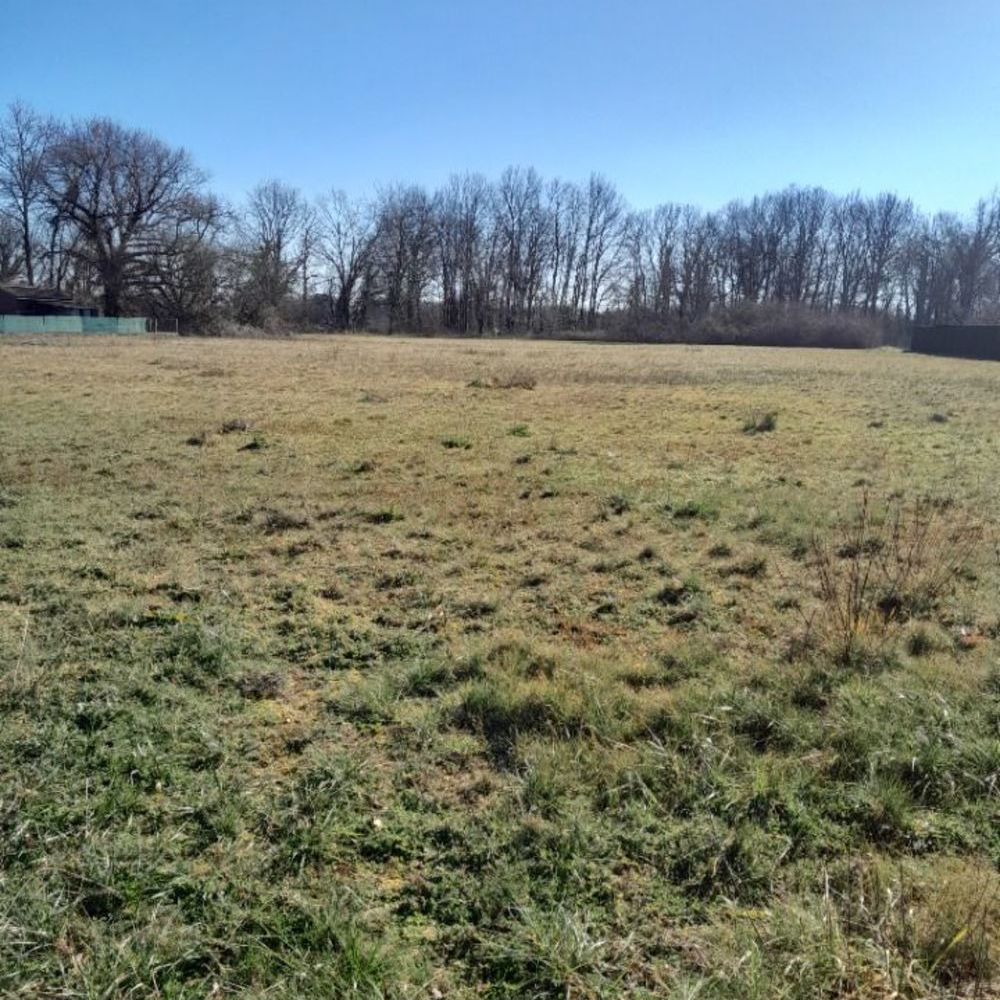 Maisons neuves   Macau (33460)