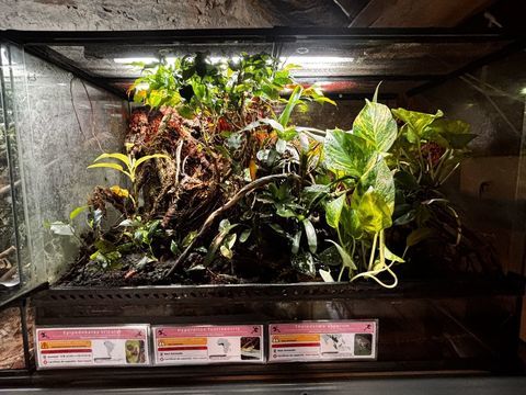 Terrarium exo terra 90/45/60 350 56130 Théhillac