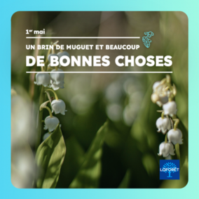 Agence CAILLAT IMMOBILIER Prigueux