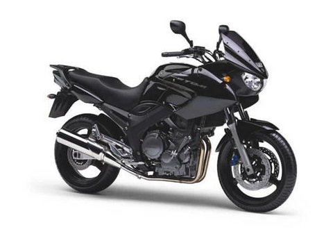 Moto YAMAHA 2004 occasion Angers 49000