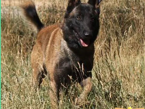 Roscoff 230 26700 Pierrelatte