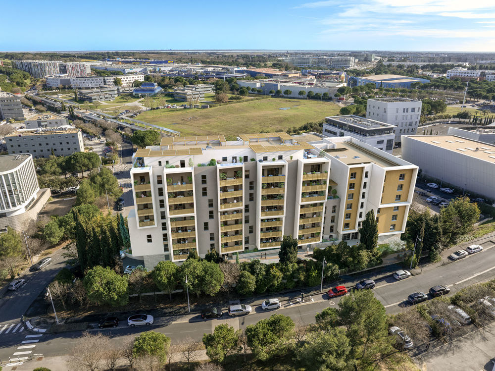 Appartements neufs   Montpellier (34000)
