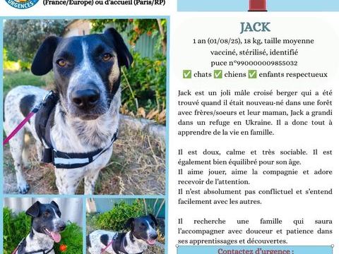 URGENCE POUR JACK 0 75018 Paris