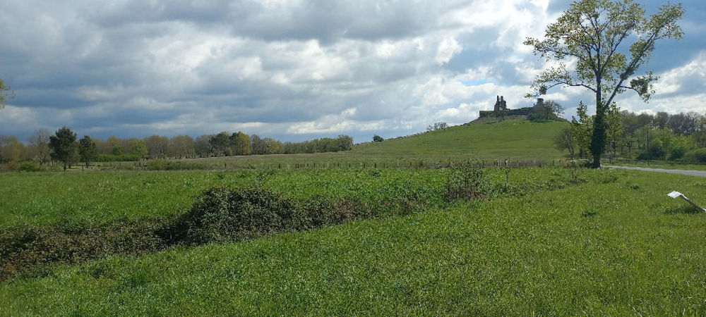   Carsac-de-Gurson (24610)