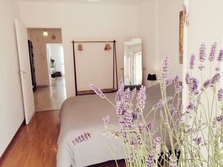  Appartement � louer 2 pi�ces 60 m�