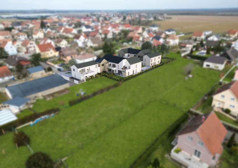 Appartements neufs   Wittelsheim (68310)