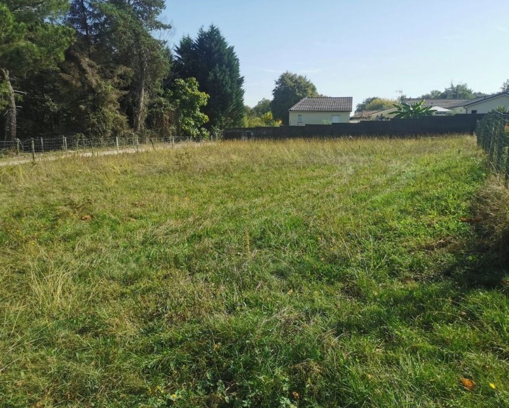 Maisons neuves   Roaillan (33210)