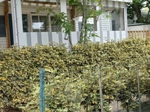 Mobil-Home Mobil-Home 2004 occasion Pornic 44210