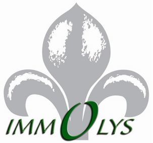 Agence IMMOLYS TOURNUS Tournus