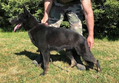 cause cessation 1000 39100 Brevans