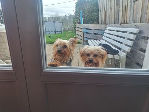 Yorkshire 800 38260 Faramans