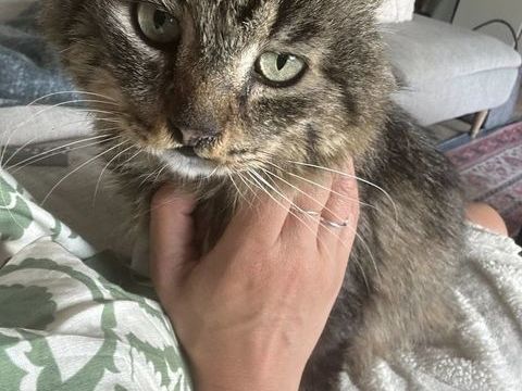 Brigand 190 44000 Nantes