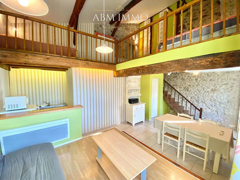   Duplex de 60 m2 meubl� Loft - 2 pi�ce(s) - 60 m�