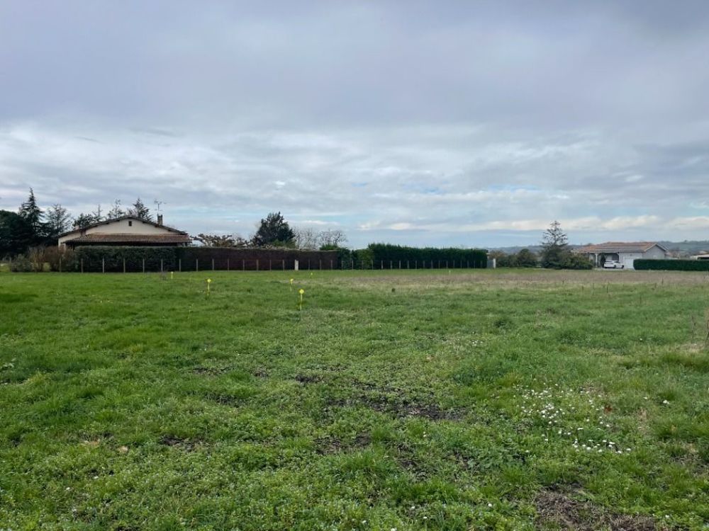 Maisons neuves   Saint-Pardon-de-Conques (33210)